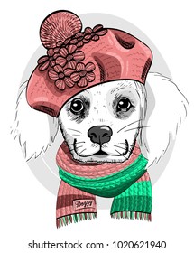 Vector white dog with pink knitted beret and scarf. Hand drawn illustration of dressed dog.