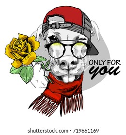 Vector white dog with red cap, scarf, glasses and rose. Hand drawn illustration of dressed dog with yellow rose.