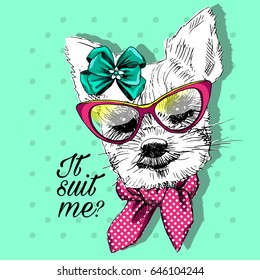 Vector white dog with red glasses and neckerchief. Hand drawn illustration of dressed  Yorkshire Terrier.