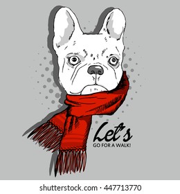 Vector white dog in a red scarf. Hand drawn illustration of dressed dog.