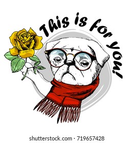 Vector white dog with red scarf, glasses and  yellow rose. Hand drawn illustration of dressed dog with yellow rose.