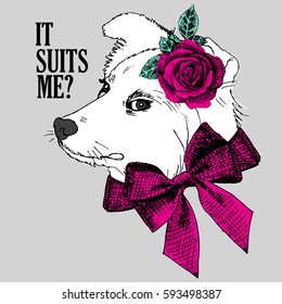 Vector white dog with rose. Hand drawn illustration of dressed dog.