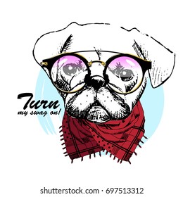 Vector white dog with scarf and glasses. Hand drawn illustration of dressed pug.