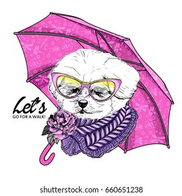 Vector white dog with scarf, umbrella and pink glasses. Hand drawn illustration of dressed lap-dog.