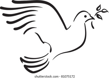 Vector white dove with  branch