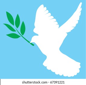 vector white dove with olive