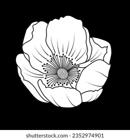 Vector white editable stroke line designed paeonia flower on flat black background sketch