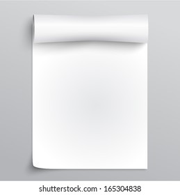 Vector White Empty paper sheet with curl 