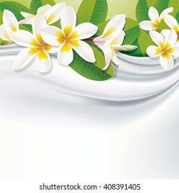 Vector white fabric (silk) background with white plumeria flowers 