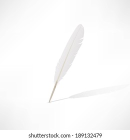 Vector white feather