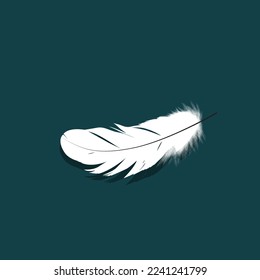 Vector white feather on isolated background
