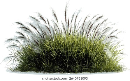 Vector white feather, overgrown grass, landscaping design, nature background, soft textures, spring garden, tranquil landscape, lush vegetation, outdoor decor, natural elements