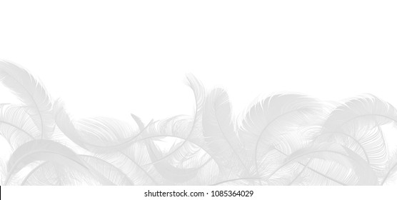 	
Vector white feathers collection, set of different falling fluffy twirled feathers, isolated on white background. Realistic style, vector 3d illustration.