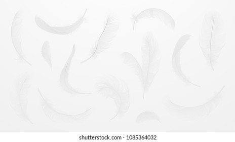 	
Vector white feathers collection, set of different falling fluffy twirled feathers, isolated on transparent background. Realistic style, vector 3d illustration.
