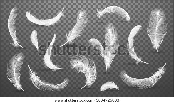 Vector white feathers collection,\
set of different falling fluffy twirled feathers, isolated on\
transparent background. Realistic style, vector 3d\
illustration.