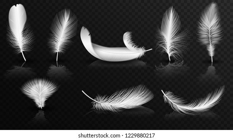 Vector white feathers on the glossy transperant alpha background collection. Realistic volumetric fluffy twirled feathers set.