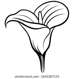 Vetor de uma flor branca, Linhas limpas, Ilustração profissional, Arte vetorial, Design digital, Graphic.eps moderno