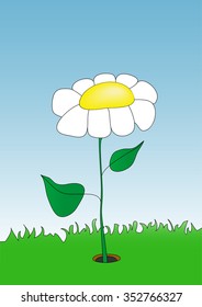 Vector white flower in green grass