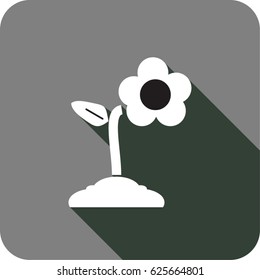vector white flower icon in gray background with shadow