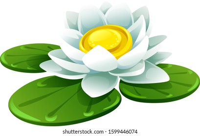 vector white flower lily with green leaves