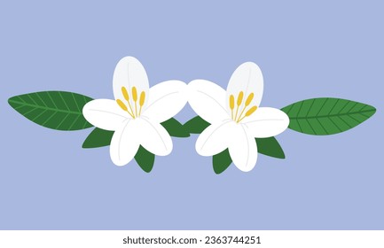 Vector white flowers on green leaves.