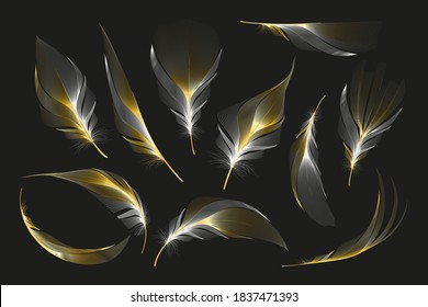 Colección de plumas de oro blanco vectorial, conjunto de diferentes plumas giradas de plumas redondeadas de caída sobre un fondo blanco.