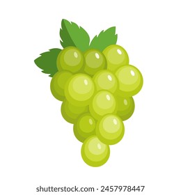 Vector white grape icon, illustration of green fruit with leaf isolated of white background, wine grape bunch logo symbol in flat cartoon style