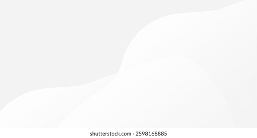 Vector white and gray background with gradient color and artistic dynamic line decoration simple