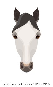 Vector white and gray color horse face
