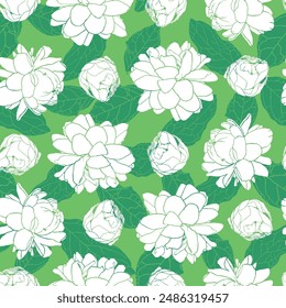 Vector blanco y verde filas de sambac de jazmín o arábigo flor de jazmín monocromo sin patrón de repetición inconsútil. Conveniente para la tela, el Fondo de pantalla y el envoltorio del regalo.