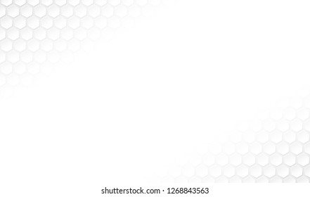 vector White Hexagon abstract texture Background, monochrome geometric seamless elegant luxury cool style.