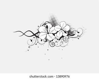 ilustración de flores de hibiscus blanco vectorial