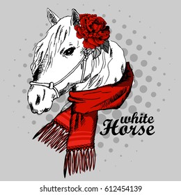 Vector white horse with scarf and flower. Hand drawn illustration of dressed horse.