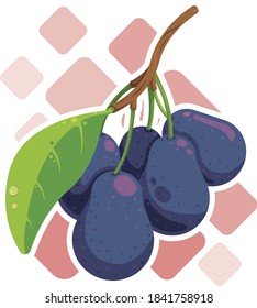Vector white isolated illustration of plum fruit on a branch with leaf and drop of water on abstract background. Commercial   exotic fruits illustration, perfect for juice or any summer ad conception 