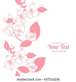 Vector white  jasmine  vertical frame pattern background . Invitation or greeting card design.Vector illustration