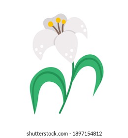 Vector white lily icon. Easter symbol flower illustration. Floral clip art. Cute flat spring plant isolated on white background.
