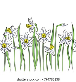 vector white narcissus flower seamless horizontal border