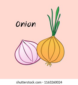 vector white onion fresh juicy vegetables isolated on pink background