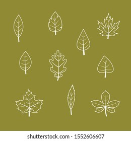 Vector white outline autumn leaf icon set in flat style isolated on a green background.Botanical collection