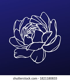 Vector white outline peony rose flower drawing silhouette floral tattoo illustration isolated on blue background.Print icon logo design for shirts,tattoos,wood cutting,embroidery,wall vinyl decal.