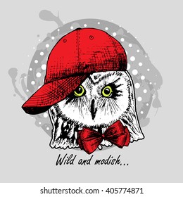 Vector white owl in red cap   bow 