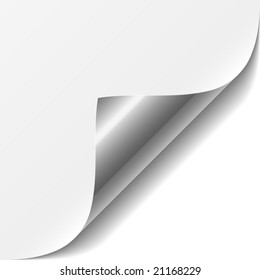 Vector White Page Corner