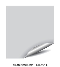 Vector white page corner with space of your text