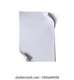 Vector White Paper with Curled Corners Isolated on White Background, Decorative Design Element.