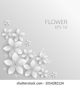 Vector white Paper flowers, origami.
