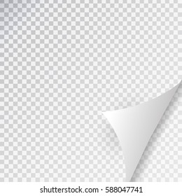 Vector white paper page curl on the transparent background.