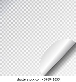 Vector white paper page curl on the transparent background.