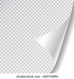 Vector white paper page curl on the transparent background
