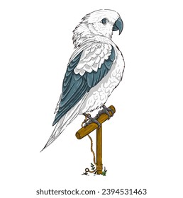 Vector white parrot with blue wings