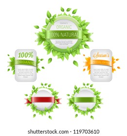 Vector white plastic banners / badges collection decorated with satin ribbons and fresh green leaves